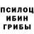 Галлюциногенные грибы Psilocybe Aitpek kazahstan