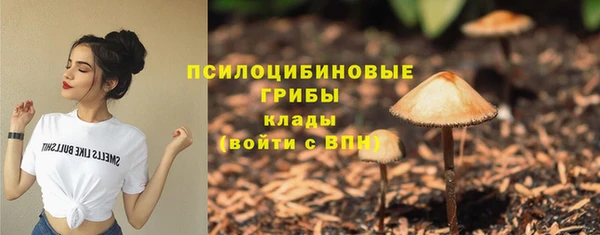 скорость Абаза
