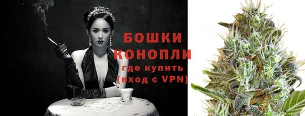 шишки Надым
