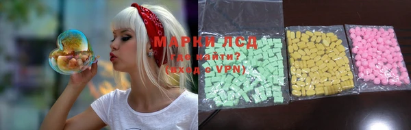 прущие грибы Абинск
